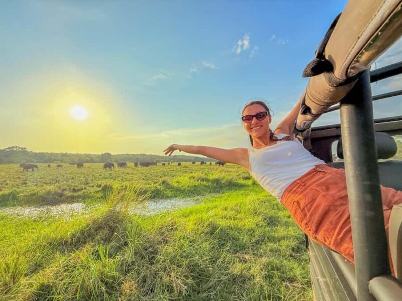 From Colombo: Private 2-Day Trip Dambulla, Sigiriya & Safari - Day 2: Sigiriya and the Wildlife Safari