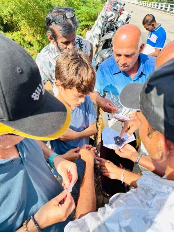 From Colombo: Ratnapura Gem, Tea & Spice Day Tour - FAQ