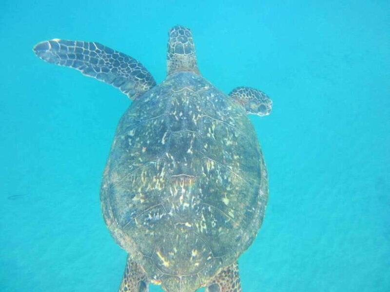 From Colombo: Relaxing 3-Day South Coast Beach Hotel Stay - Good To Know