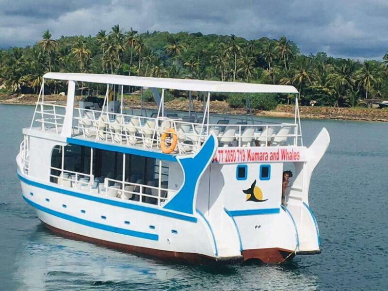 From Colombo: Relaxing 3-Day South Coast Beach Hotel Stay - Who Will Appreciate This Tour?