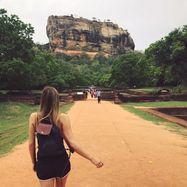 From Colombo: Sigiriya and Dambulla Day Trip and Safari - Reserve Now & Pay Later Option