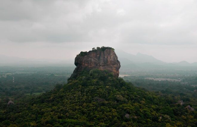 From Colombo: Sigiriya and Dambulla Full-Day Private Tour - Tour Provider Information