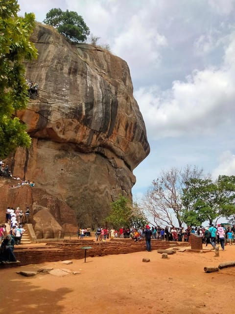 From Colombo: Sigiriya, Dambulla and Minneriya Day Trip - Hiriwadunna Village Safari
