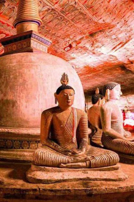 From Colombo: Sigiriya, Dambulla & Minneriya Safari Day Tour - Important Information
