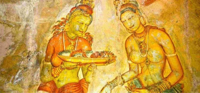 From Colombo: Sigiriya / Dambulla & Safari Day Tour - Inclusions and Exclusions