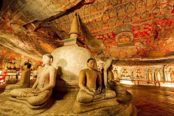 From Colombo: Sigiriya / Dambulla & Safari Day Tour - Pickup and Drop-off Locations
