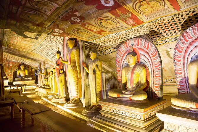 From Colombo: Sigiriya, Dambulla & Safari Day Trip - The Full Experience: What to Expect