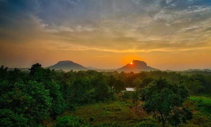From Colombo: Sigiriya Rock Sunrise Climb with Dambulla - Who will love this tour?