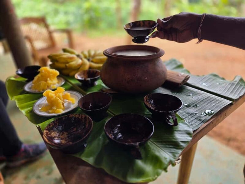 From Colombo: Sinharaja Kithul Toddy Tasting & Stream Bath - Authenticity and Unique Insights