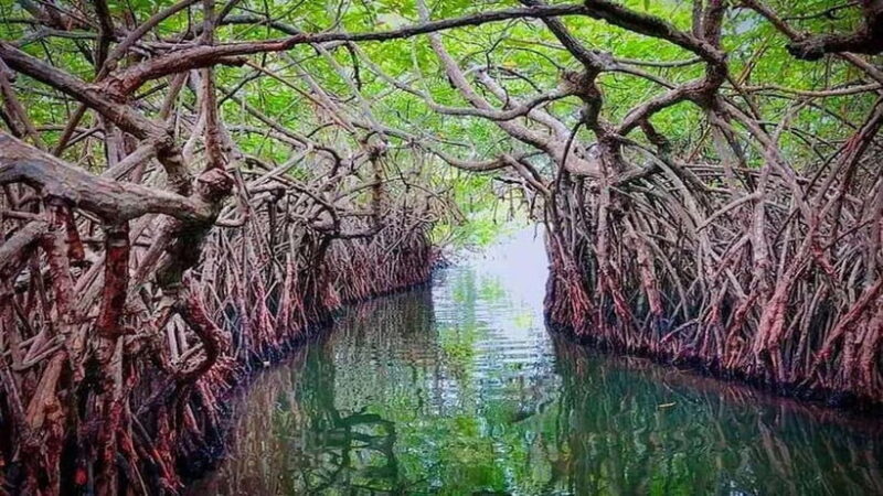 From Colombo to Galle Fort and Unawatuna Beach Day Trip - Good To Know