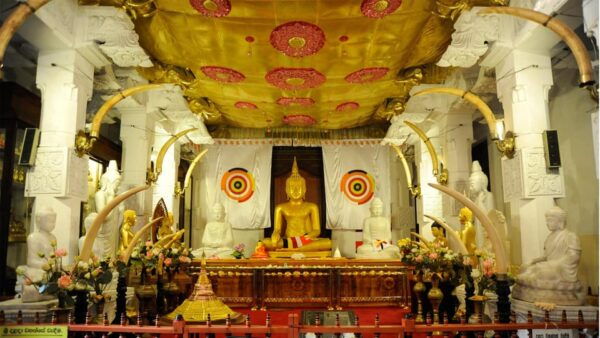 From Colombo to Kandy Day Trip by Private Transportation - Transportation Details
