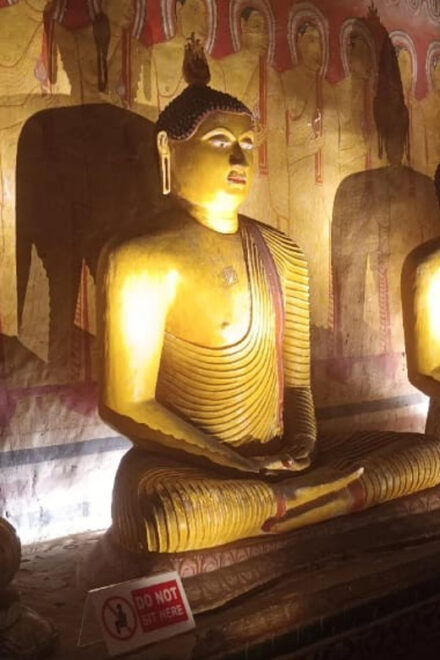 From Colombo to Sigiriya & Dambulla Private Day Tour - Optional Activities