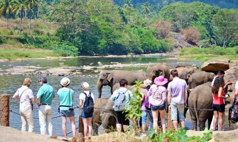 From Colombo to Yala 6-Day Private Trip with 21-Sites - Wildlife Adventures and Safari Excursions  