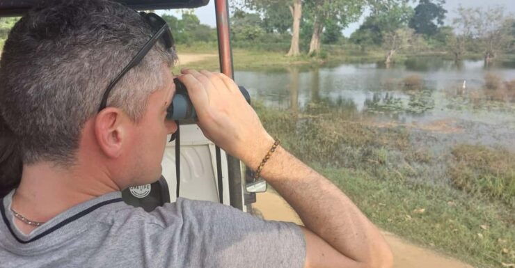 From Colombo: Udawalawe National Park Safari With Lunch - Itinerary and Transportation