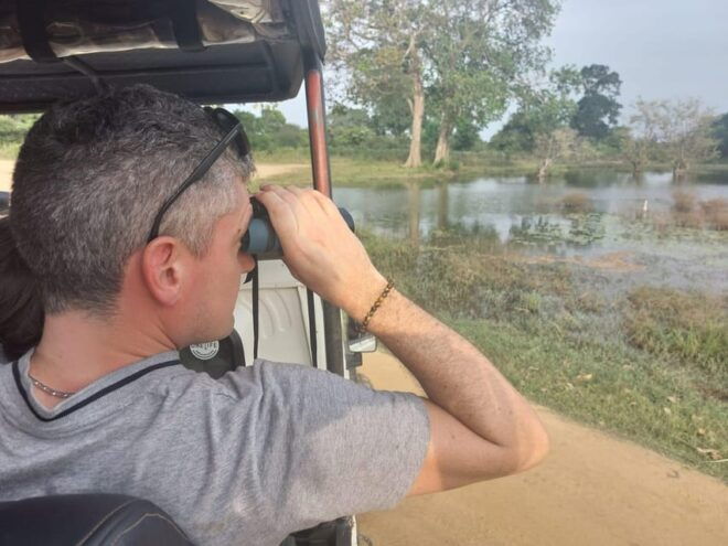From Colombo: Udawalawe National Park Safari With Lunch - Whats Included and Not Included