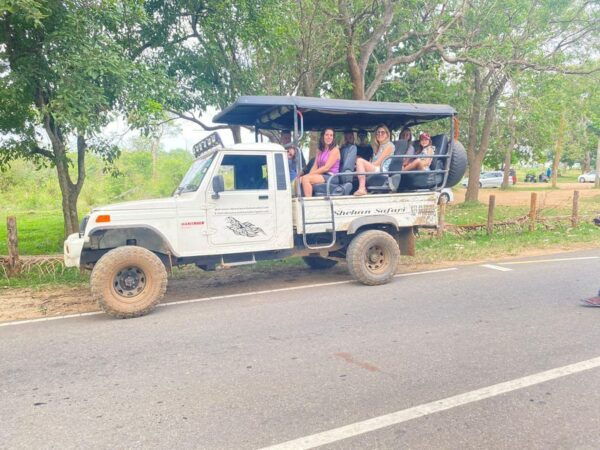 From Colombo: Udawalawe National Park Safari With Lunch - Preparation and Recommendations