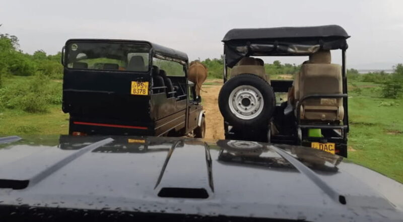 From Colombo: Udawalawe Park and Elephants Orphanage - Good To Know