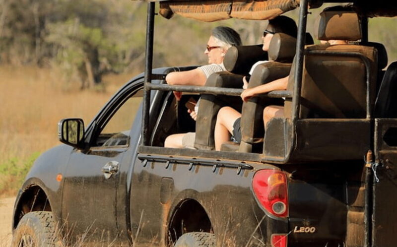 From Colombo: Wilpattu National Park Safari - FAQ