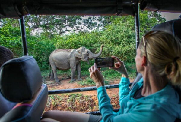 From Colombo : Yala National Park Safari Tour - The Sum Up