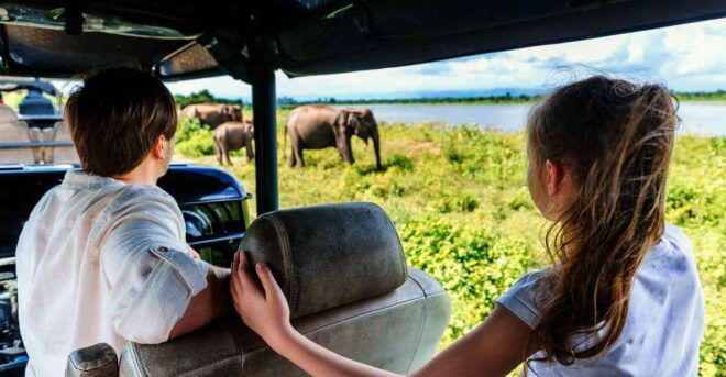 From Colombo: Yala National Park Safari With Transfer - Highlights of Yala National Park