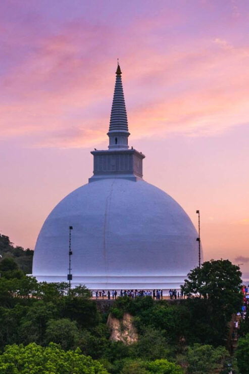 From Colombo:Anuradhapura Day Tour and Safari in Wilpattu NP - Good To Know
