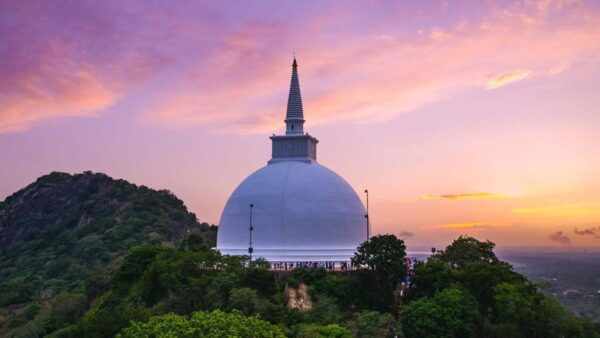 From Colombo:Anuradhapura Day Tour and Safari in Wilpattu NP - Booking and Cancellation Policy