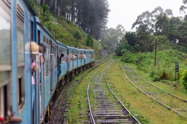 From Colombo:Odyssey First Class Scenic Train Ticket to Ella - Contact and Support Information