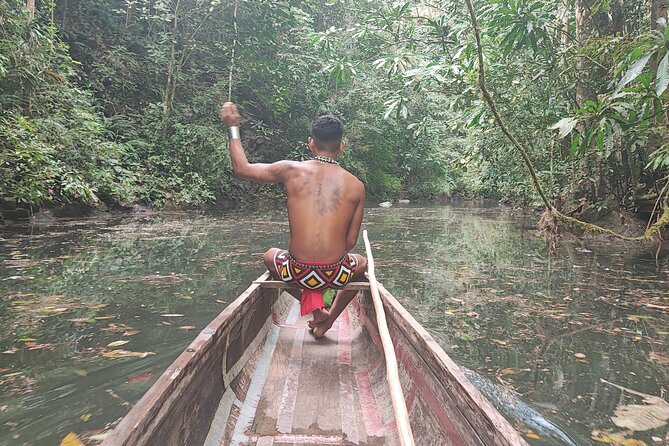 From Colon Port - Embera Tribe, Rainforest Eco Tour - The Sum Up