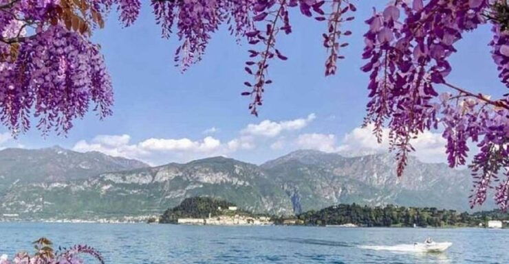 From Como: Bellagio, Lugano, and Como Boat Tour - Tour Itinerary Overview