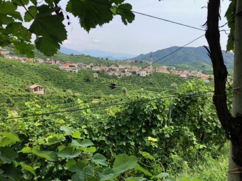 From Conegliano: Prosecco Hills Wine and Cheese Tasting Tour - What’s Included and What Matters