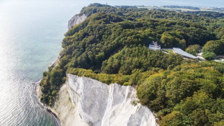 From Copenhagen: Round-Trip to Møns Klint and Forest Tower - Activity Highlights
