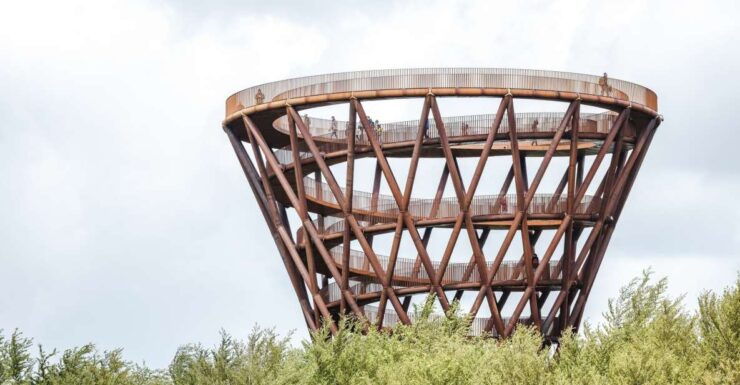 From Copenhagen: Round-Trip to South Zealand's Forest Tower - Activity Details