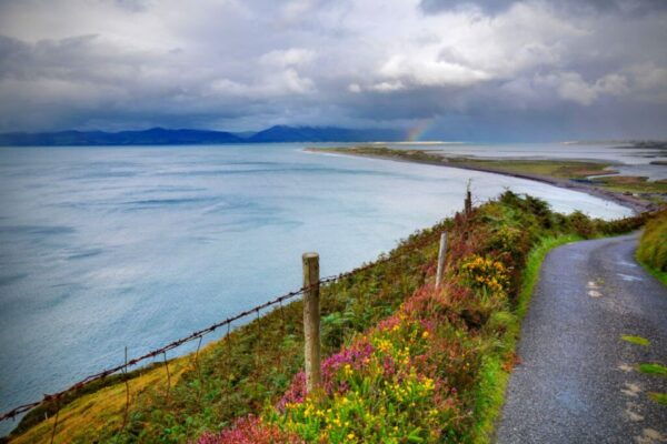 From Cork: 9-Hour Guided Ring of Kerry and Killarney Tour - Common Questions