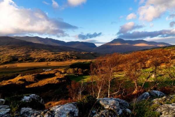 From Cork: 9-Hour Guided Ring of Kerry and Killarney Tour - The Sum Up