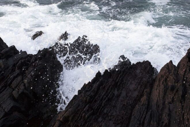 From Cork: Full-Day Guided Tour to Dingle Peninsula - Review Summary and Ratings