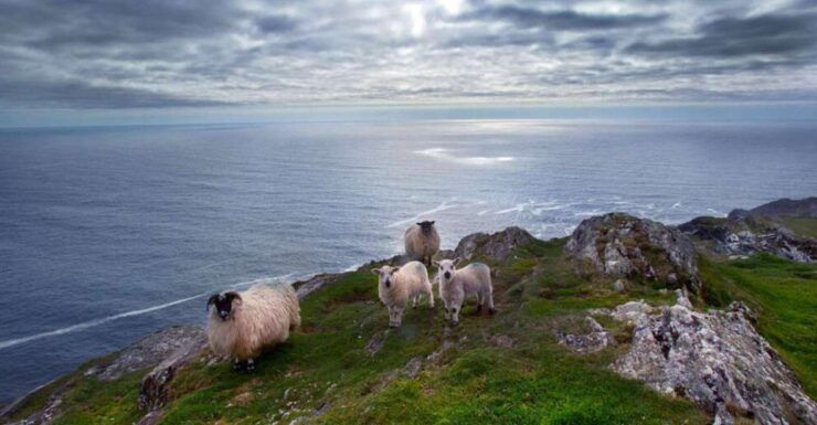 From Cork: Guided Full-Day West Cork to Mizen Head Tour - Explore Gougane Barra National Park