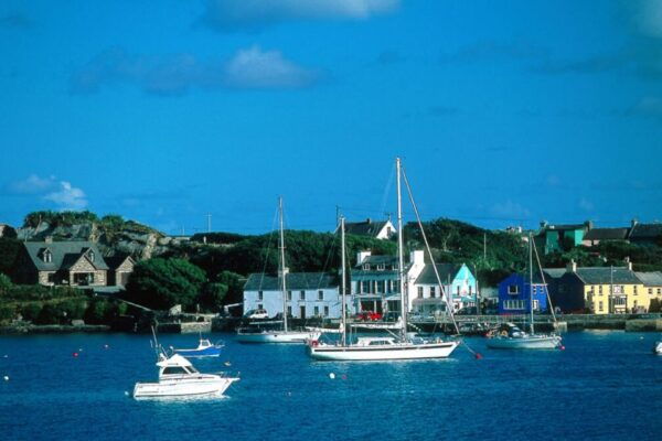 From Cork: Guided Full-Day West Cork to Mizen Head Tour - Common Questions