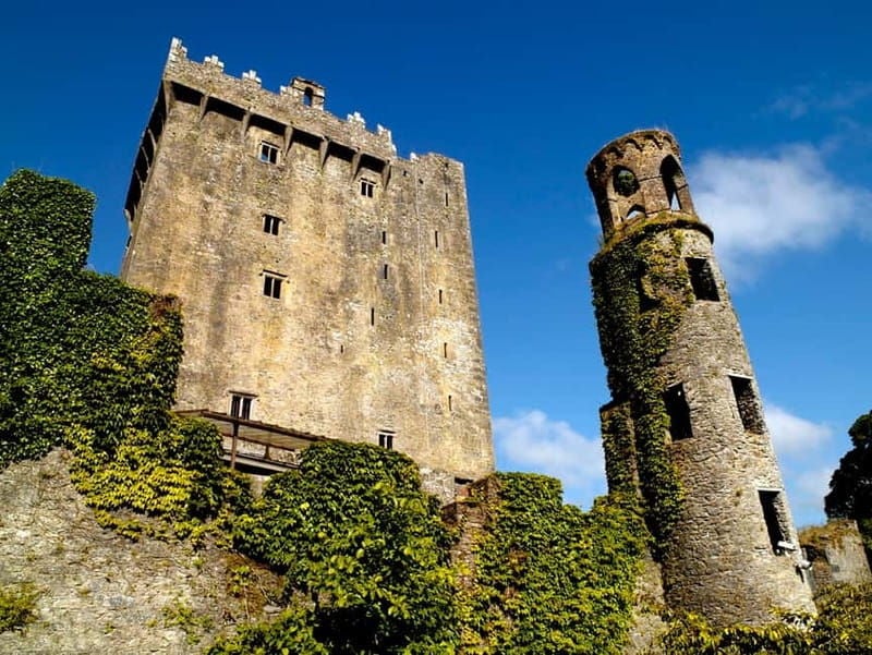 From Cork: Guided Shared Shore Excursion - Good To Know
