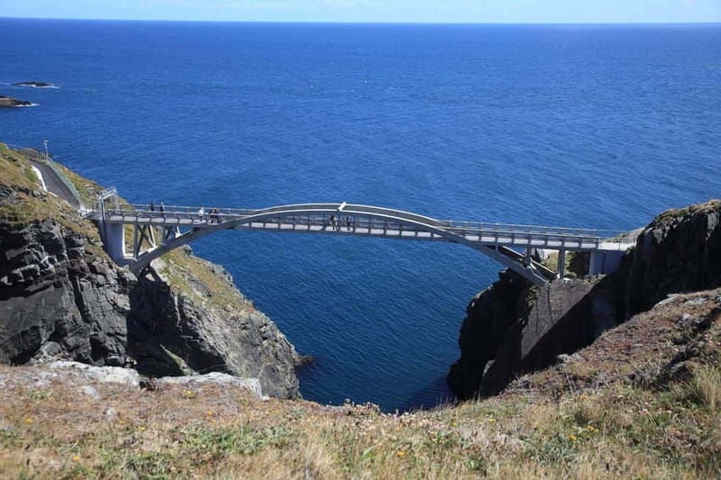 From Cork: West Cork to Mizen Head Guided Full Day Tour - Who Is This Tour Best For?