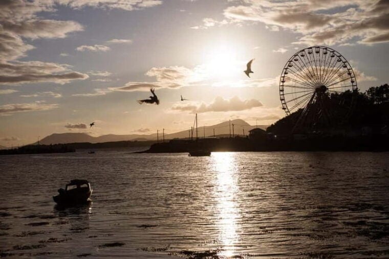 From Cork: West Cork to Mizen Head Guided Full Day Tour - FAQ