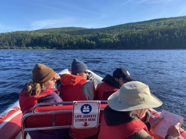 From Corner Brook : Bay Of Islands Island Zodiac Boat Tour - Tour Duration and Guide Information