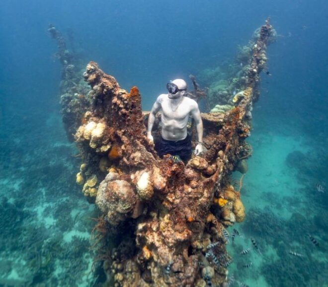 From Coron: Twin Lagoon and Skeleton Wreck Cruise With Lunch - Customer Reviews