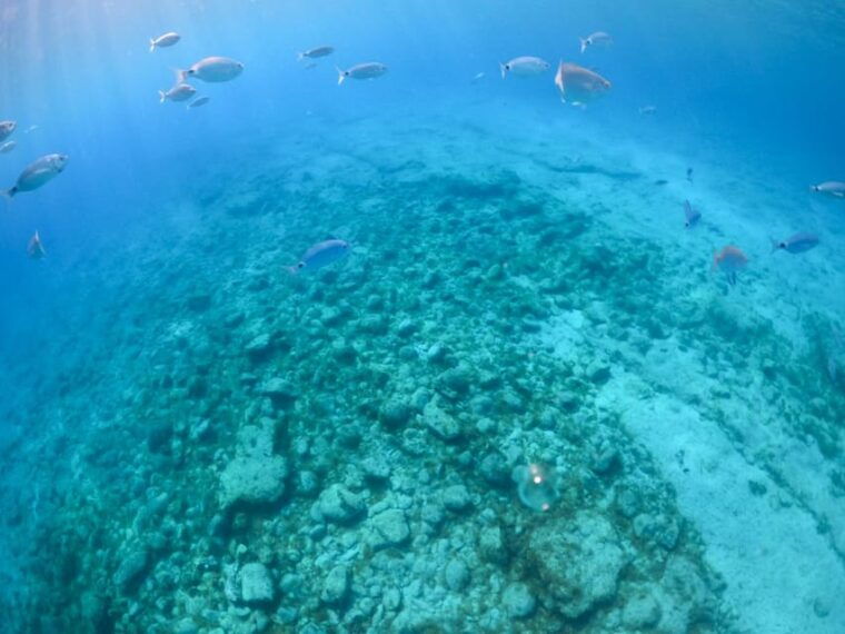 From Corralejo: Lobos Island Boat and Snorkel Activity - Highlights of the Tour