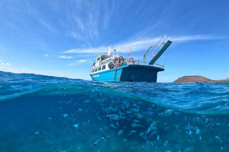 From Corralejo: Lobos Island Entrance and Snorkel Activity - Ticket Details
