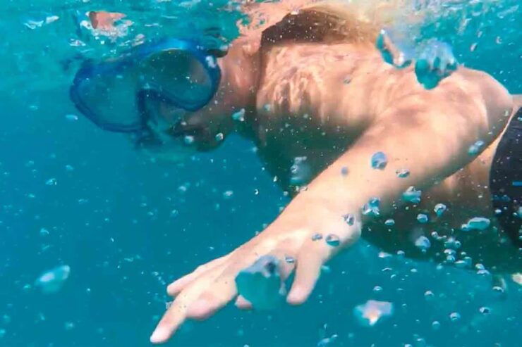 From Corralejo: Lobos Island Entrance and Snorkel Activity - Experience Highlights