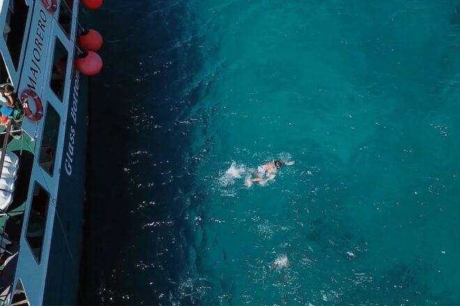 From Corralejo: Lobos Island Entrance and Snorkel Activity - Snorkeling and Fish Feeding