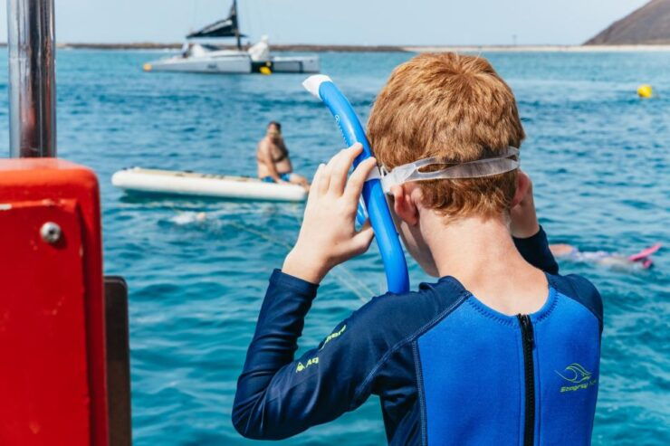From Corralejo: Round-Trip Ferry Transfer to Lobos Island - Transportation and Experience