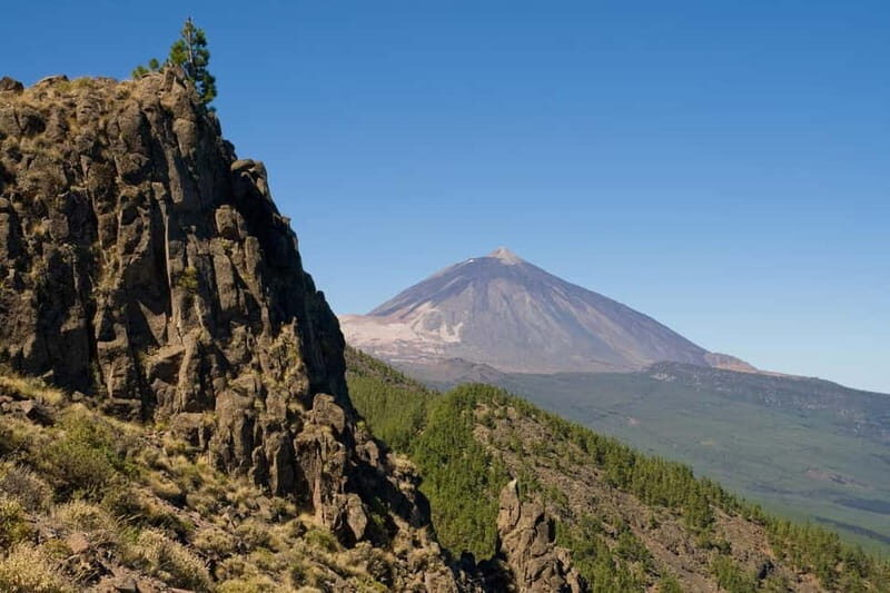 From Costa Adeje or Santa Cruz: Contrasts of Tenerife Tour - Who Will Love This Tour?