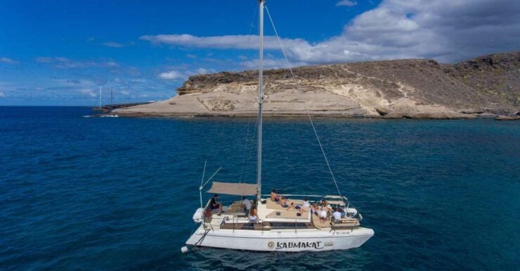 From Costa Adeje: Private Catamaran Tour With Snorkeling - Activity Highlights