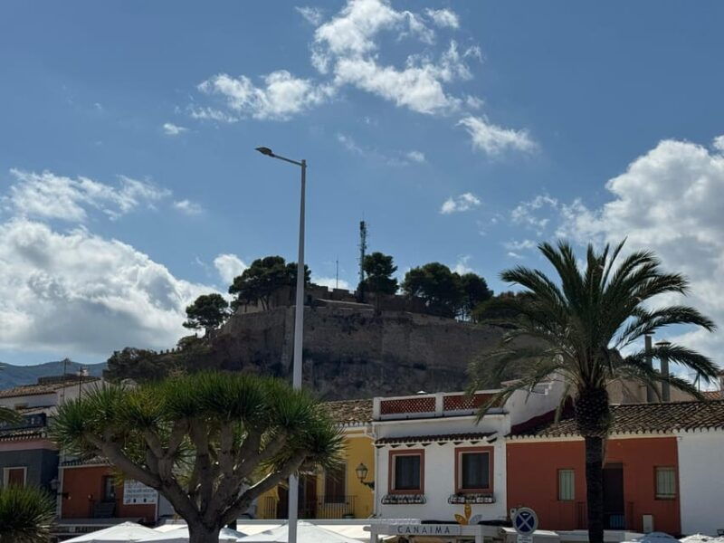 From Costa Blanca: Denia and Mediterranean Gardens Day Trip - Itinerary Details